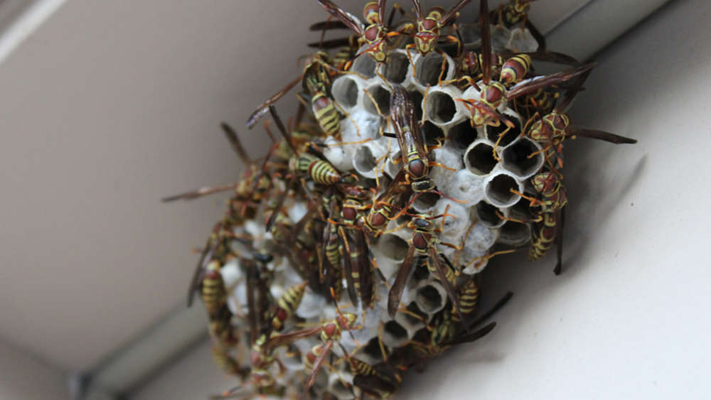 A model of a house with a key beside it symbolizing property maintenance